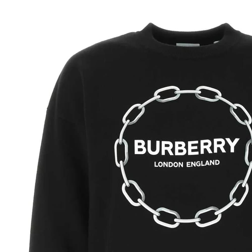 Худи Burberry - изображение 4