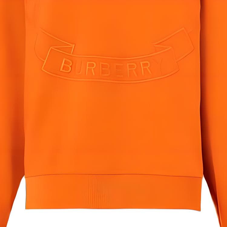 Худи Burberry FW22 - изображение 4