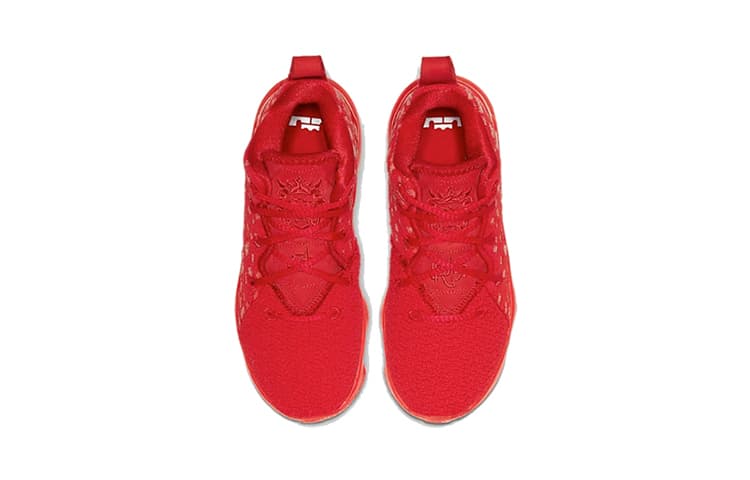 Кроссовки для баскетбола Nike Lebron 17 17 - изображение 3
