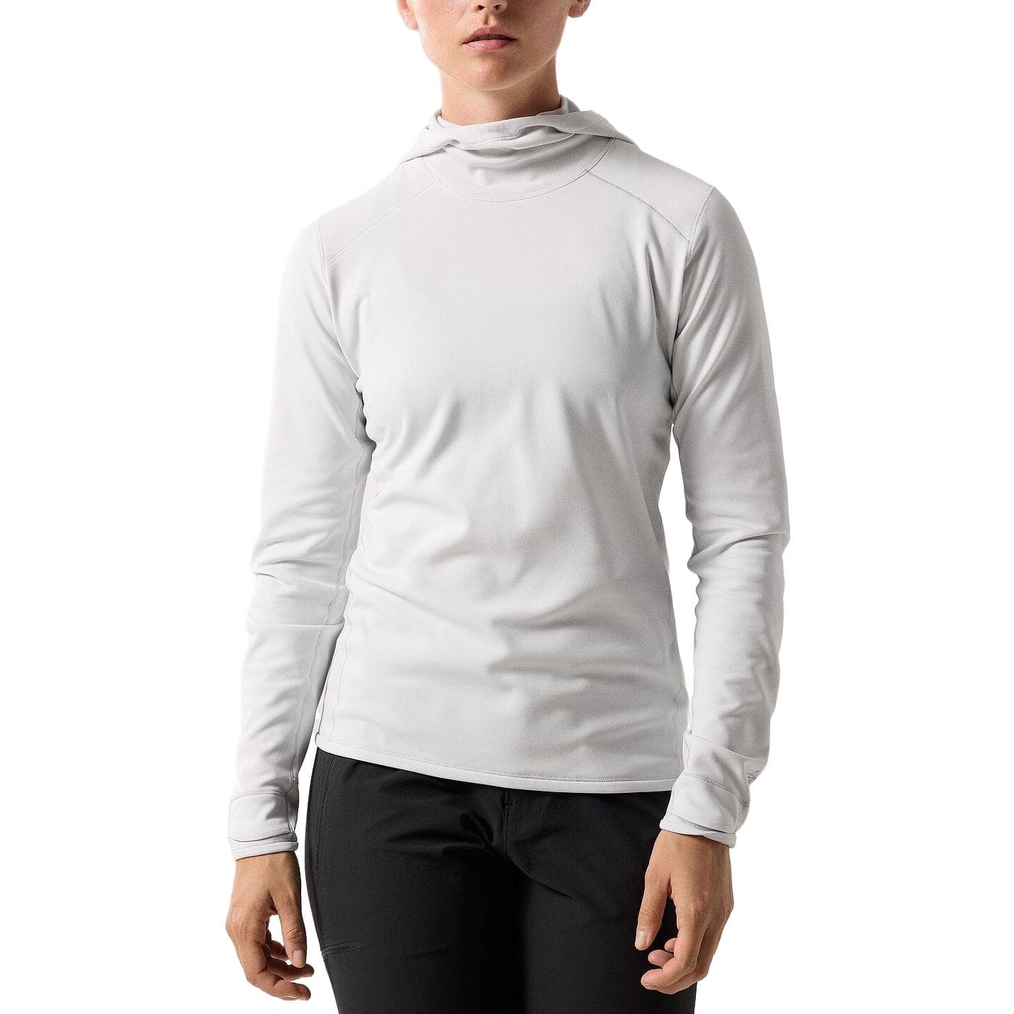 Худи Arcteryx - изображение 2
