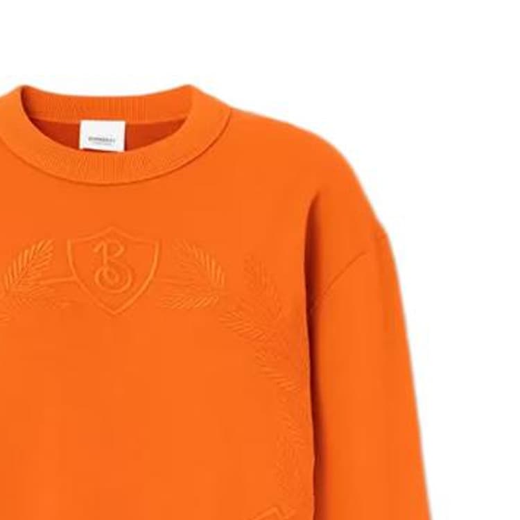Худи Burberry FW22 - изображение 3
