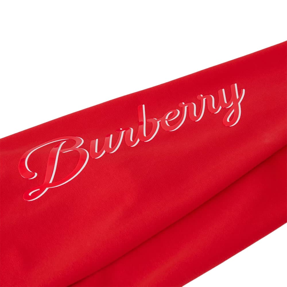 Burberry SS23 Logo - изображение 2