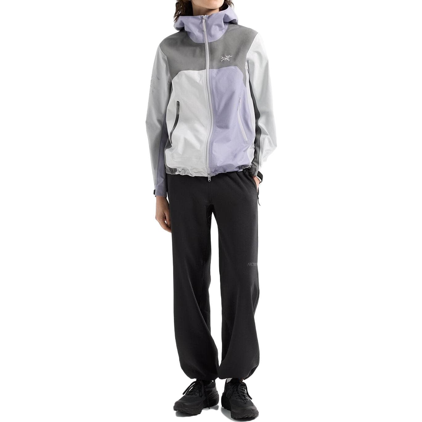 Arcteryx x beams Beta Logo FW23 - изображение 3