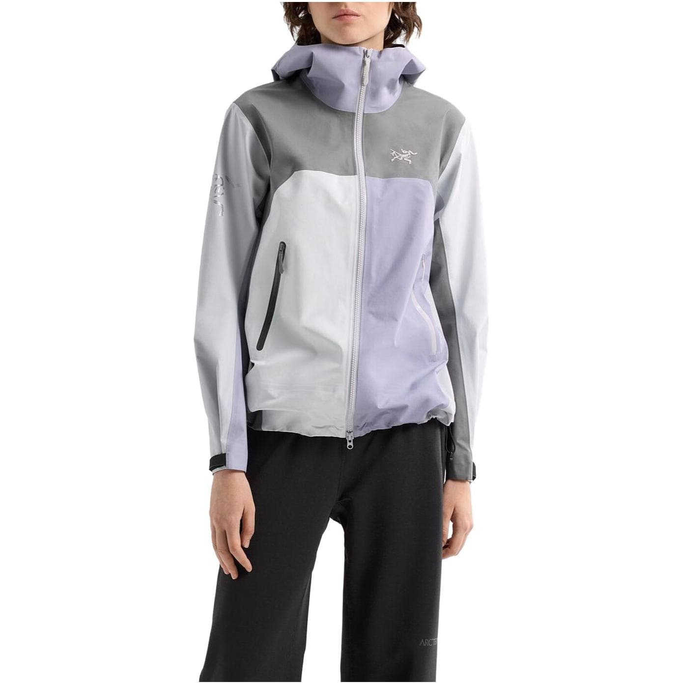 Arcteryx x beams Beta Logo FW23 - изображение 2