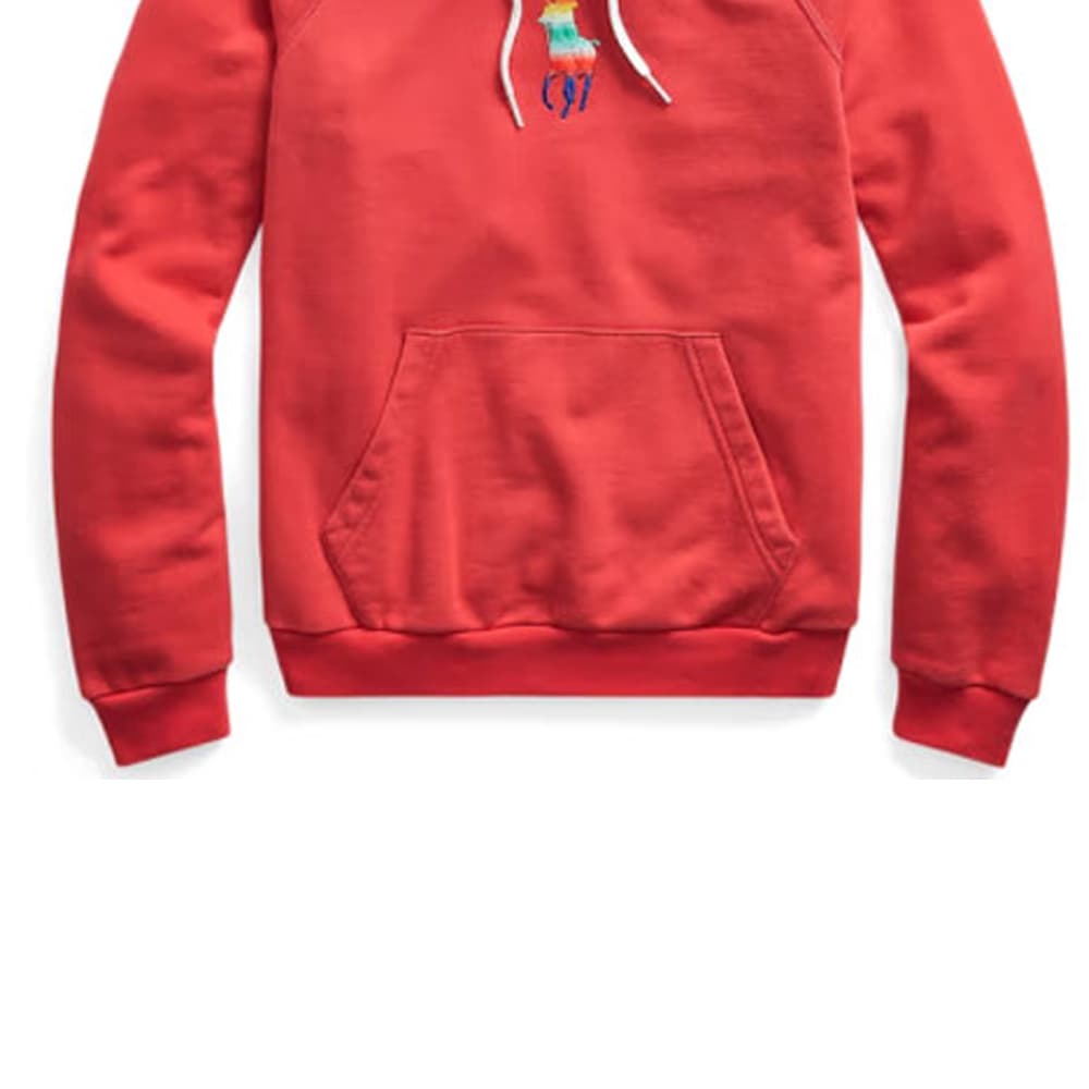 Худи Polo Ralph Lauren SS22 - изображение 3