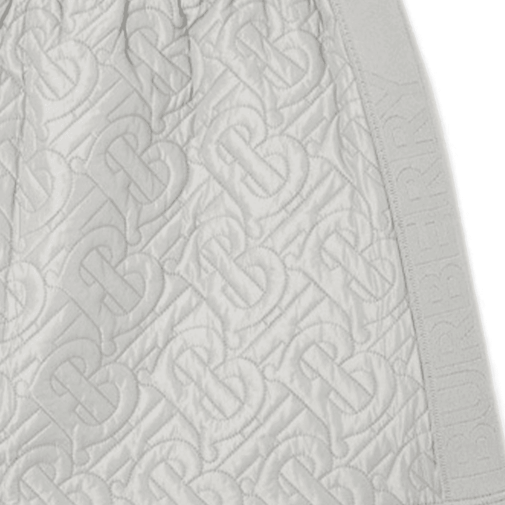 Burberry SS23 Logo - изображение 4