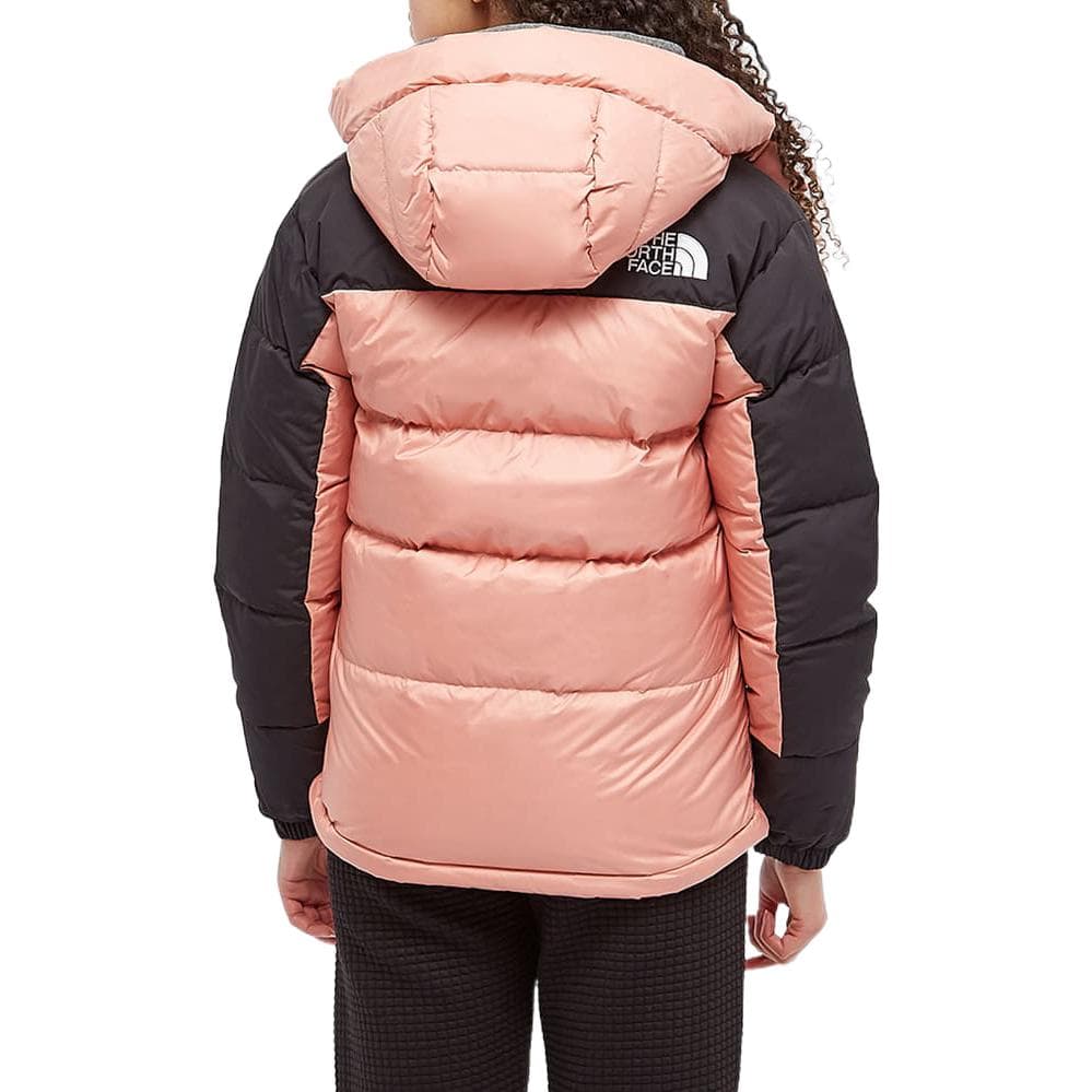 Пуховик THE NORTH FACE Logo - изображение 2