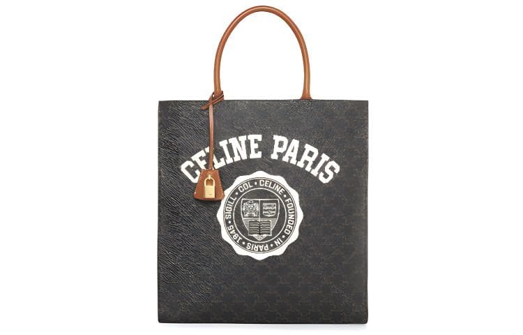 Сумка CELINE Triomphe Canvas Bag Brown - изображение 1