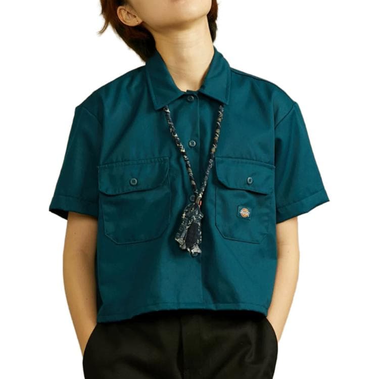 Блузка Dickies FW23 - изображение 2