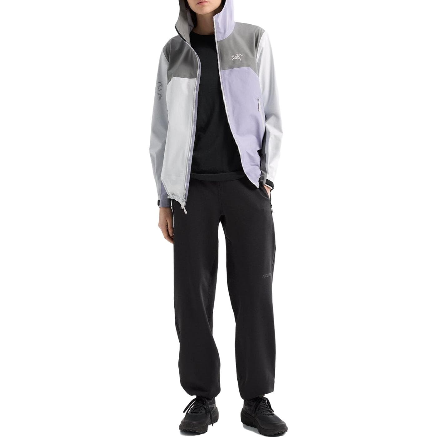 Arcteryx x beams Beta Logo FW23 - изображение 5