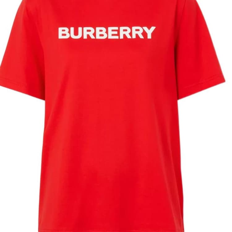 Футболка Burberry FW22 logoT - изображение 4