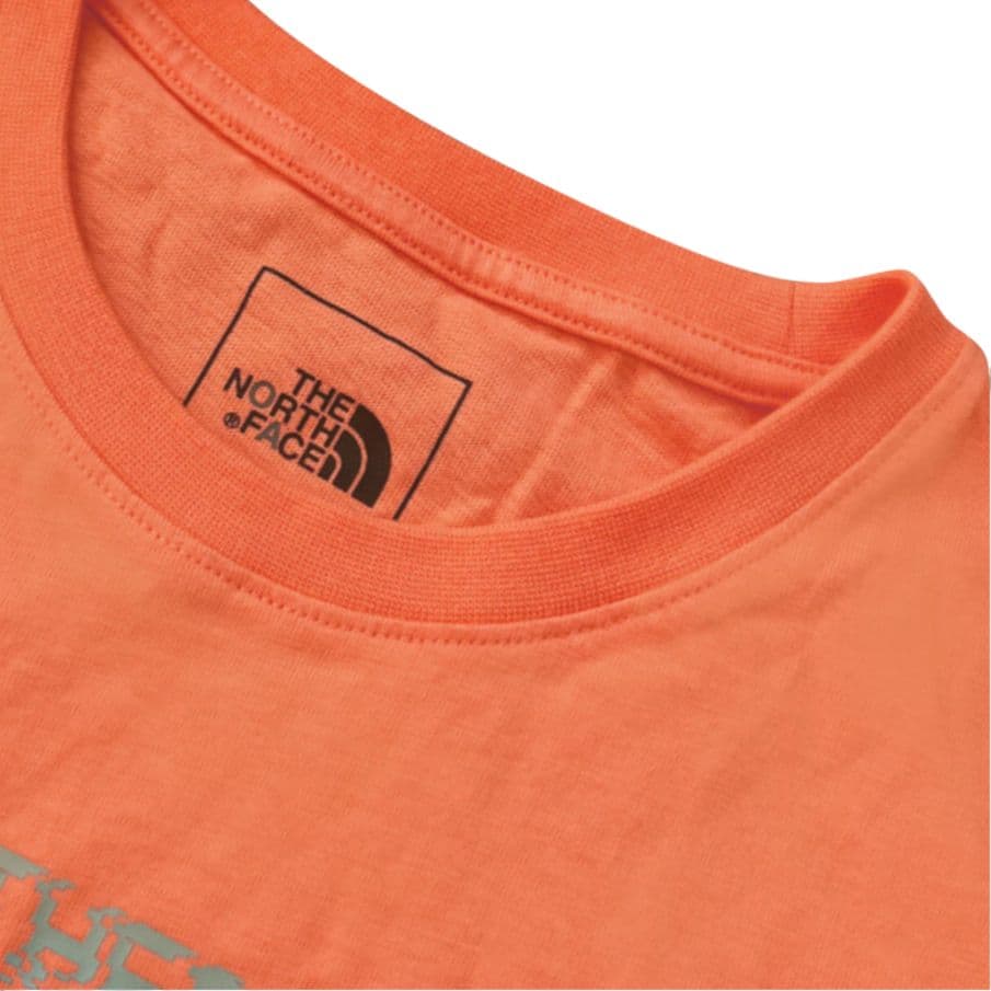 Футболка THE NORTH FACE LogoT - изображение 4