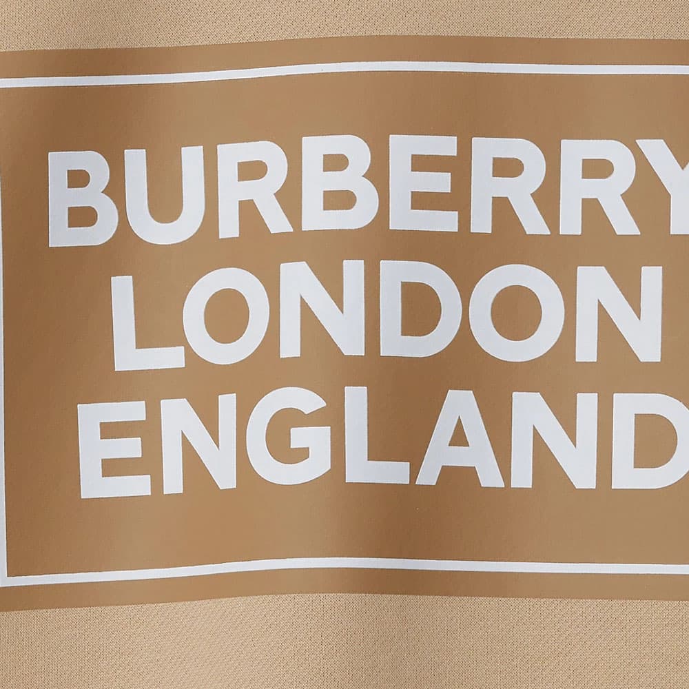 Худи Burberry Logo - изображение 5