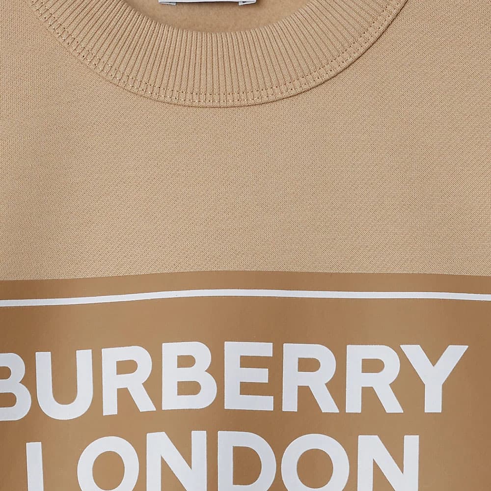 Худи Burberry Logo - изображение 4