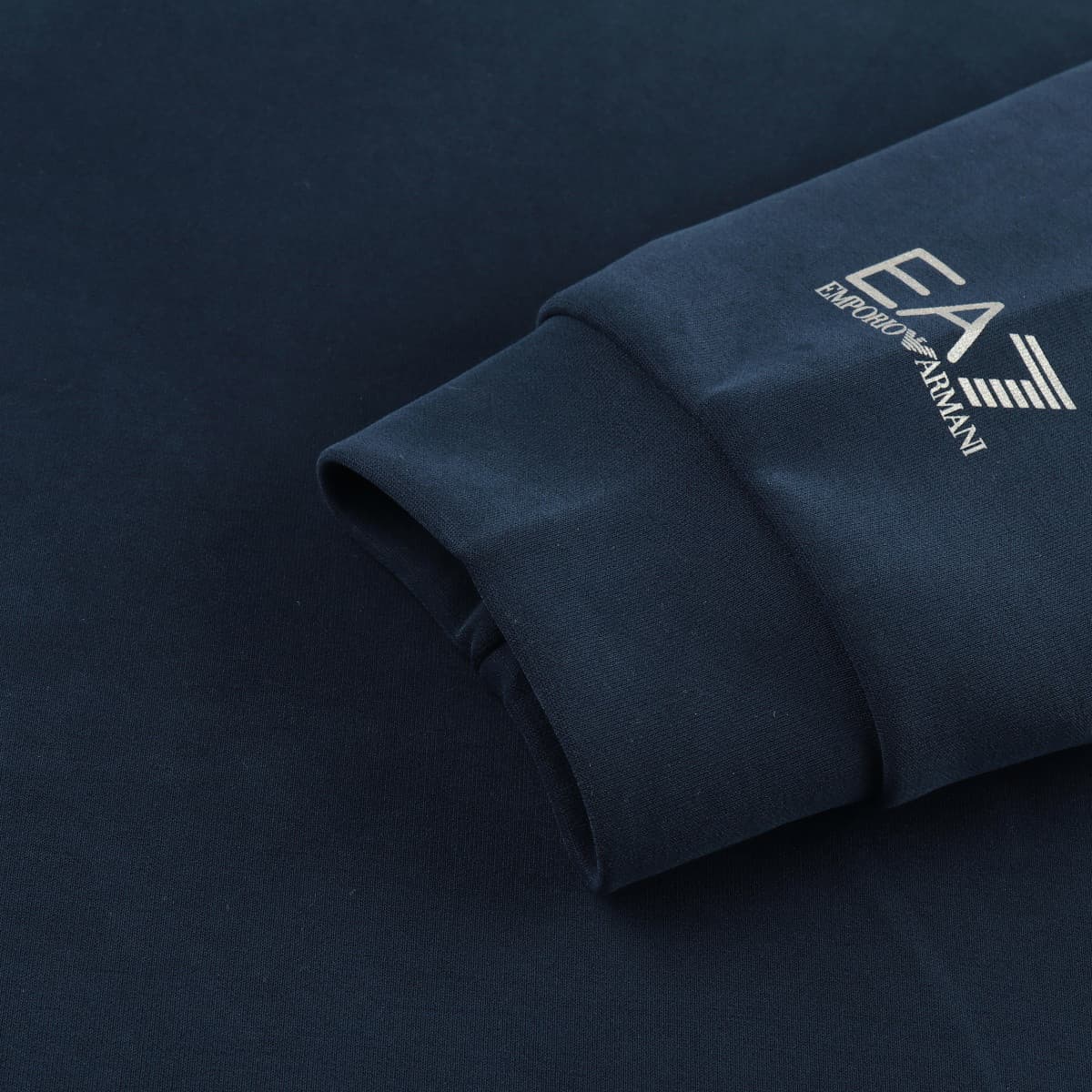 Худи EMPORIO ARMANI EA7 FW23 Logo - изображение 4