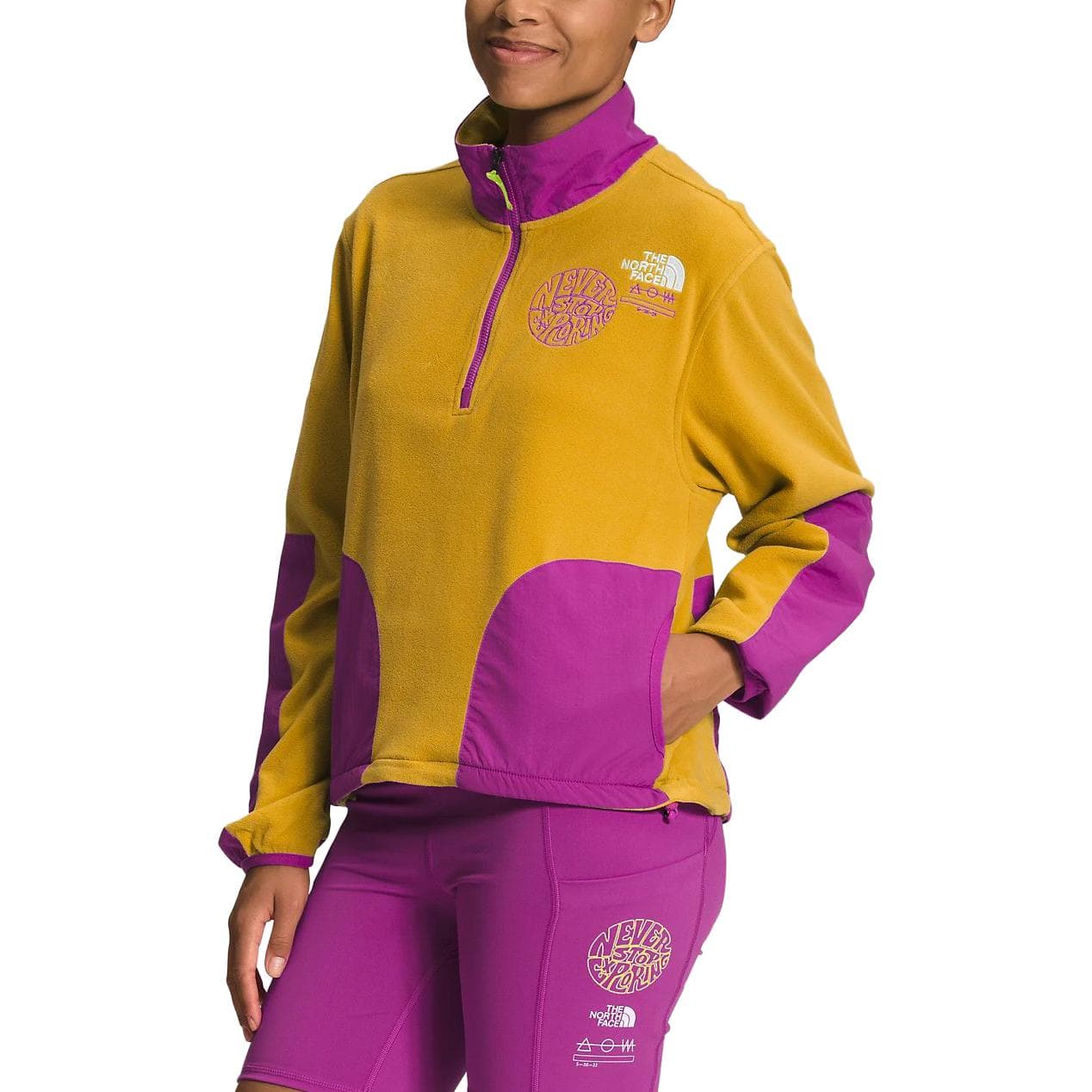 Худи THE NORTH FACE Logo - изображение 5