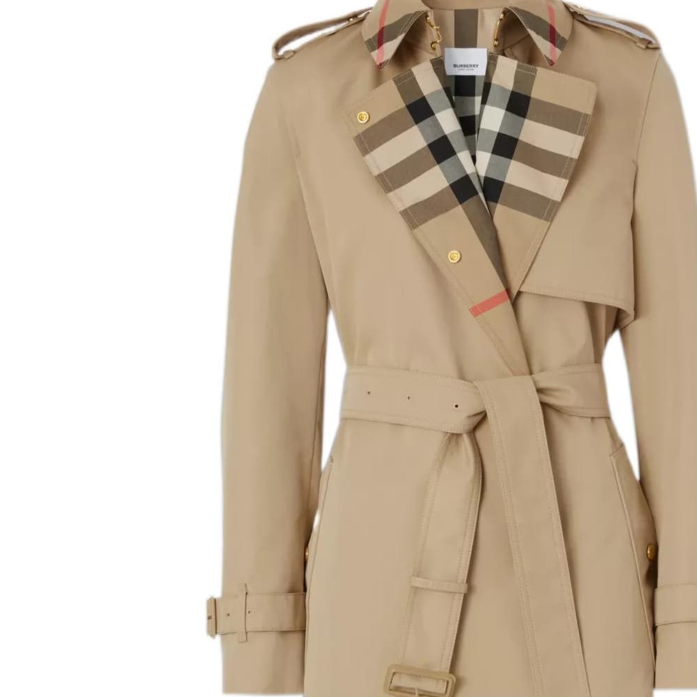 Burberry FW22 Trench 80607351 - изображение 6