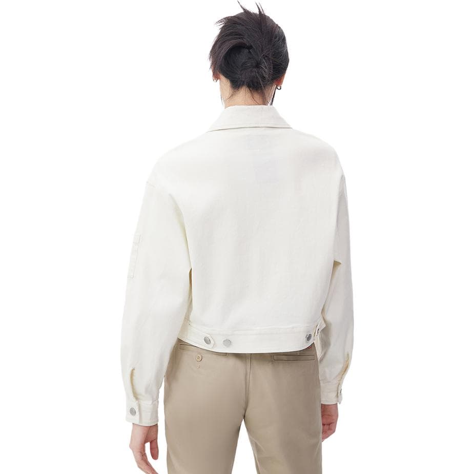 Dickies - изображение 4