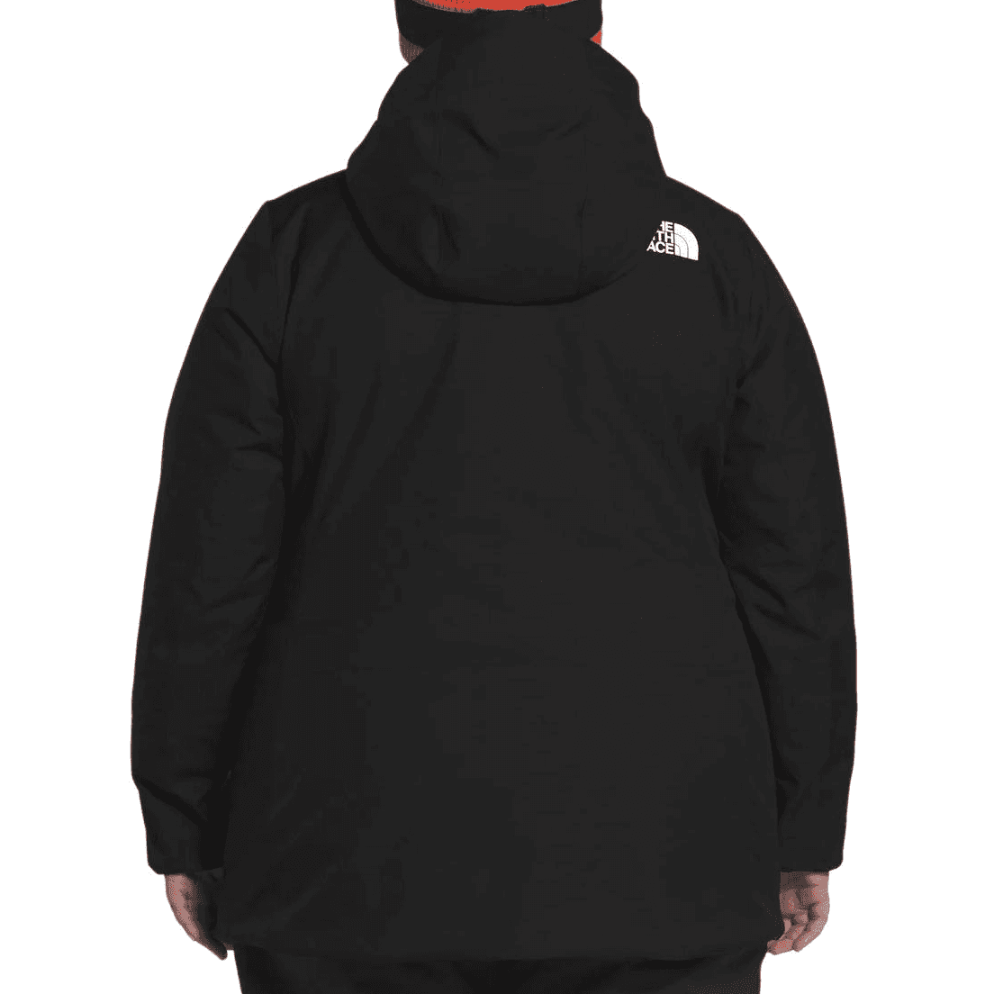 THE NORTH FACE Logo - изображение 3