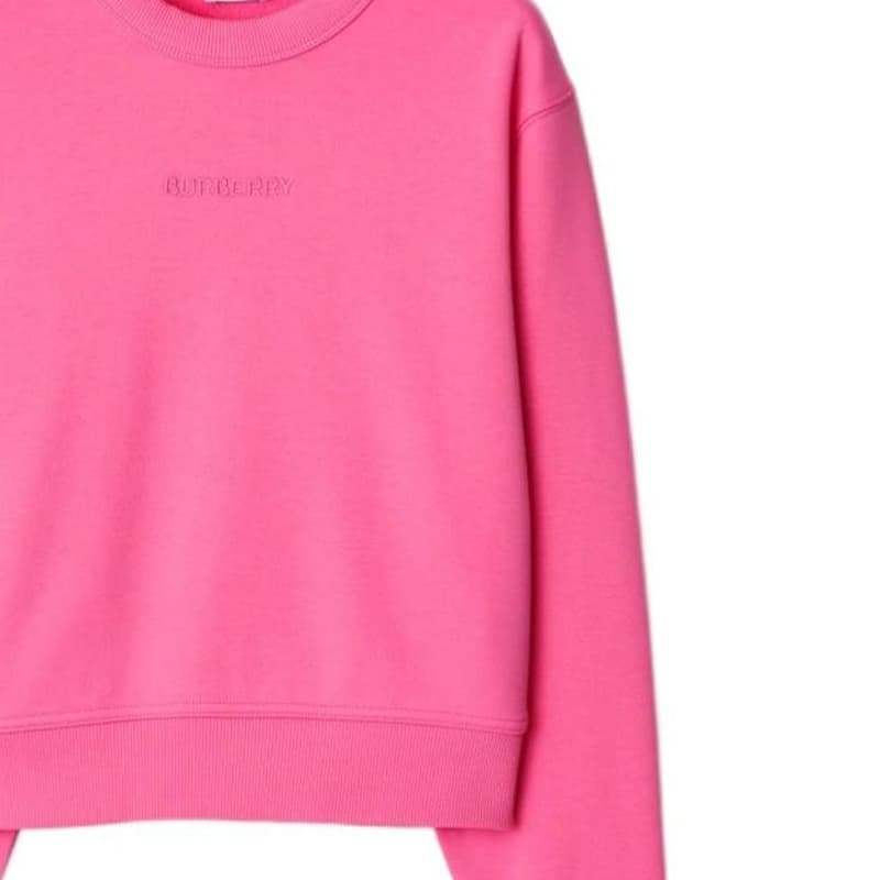 Худи Burberry SS24 Logo - изображение 6