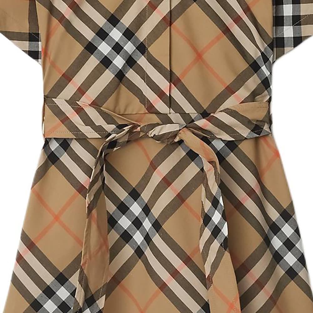Burberry SS24 - изображение 4