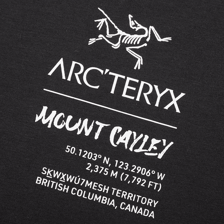 Футболка Arcteryx Captive LegendT - изображение 4