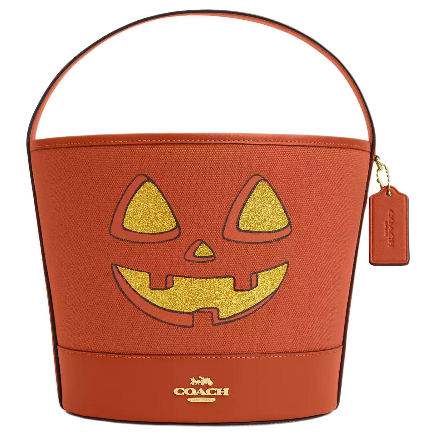 Сумка COACH 25 Bucket Bag - изображение 1