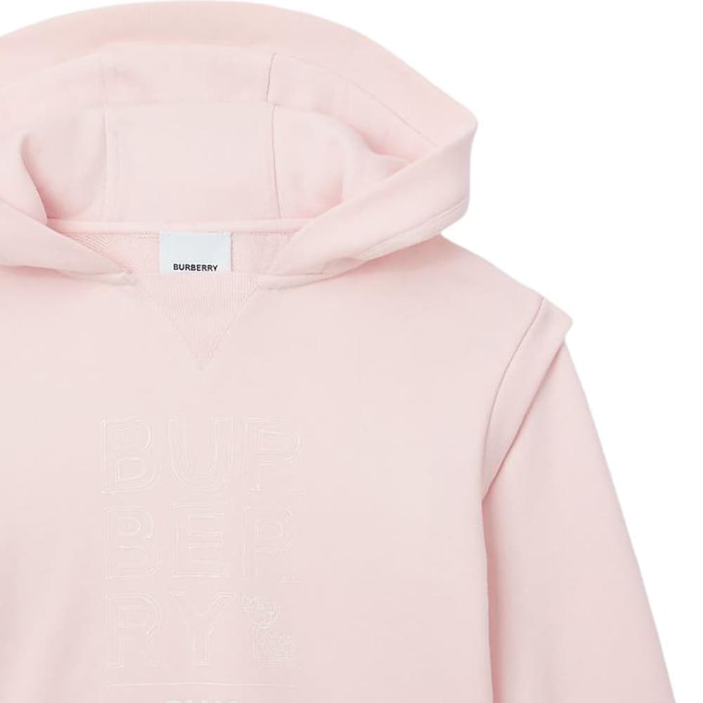 Burberry FW22 Logo - изображение 4