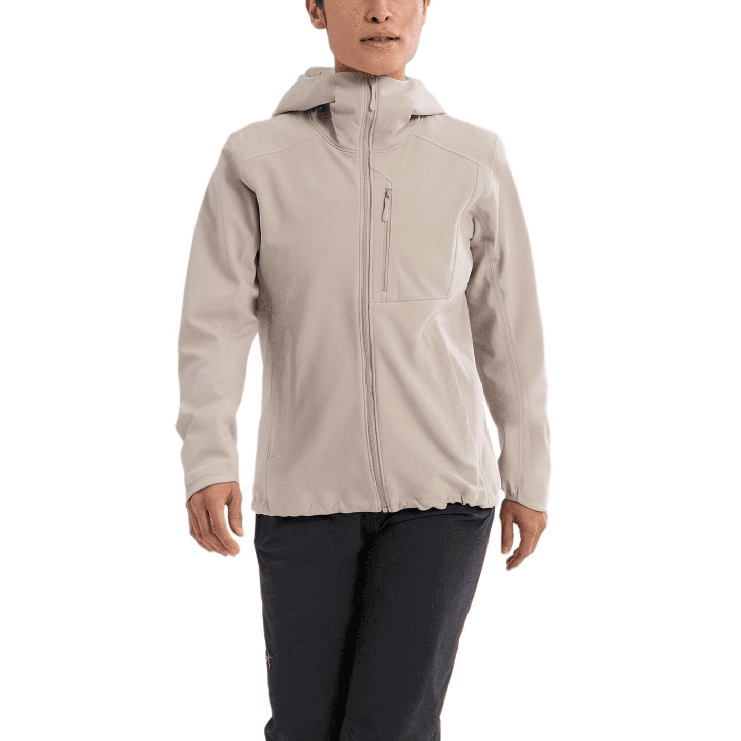 Arc'teryx GAMMA HEAVYWEIGHT Мягкий Оболочка Куртка Женские - изображение 3