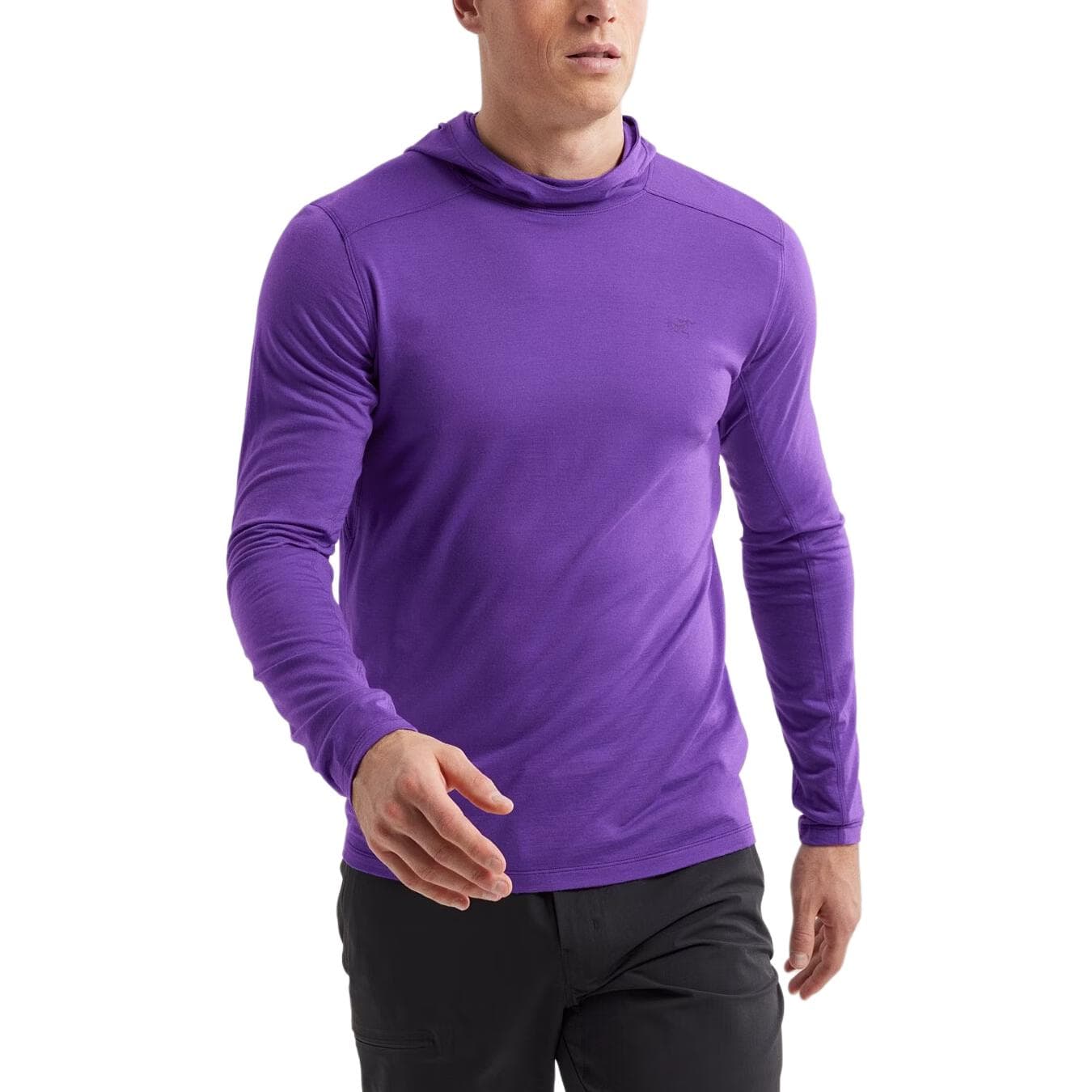 Худи Arcteryx Ionia Logo - изображение 2