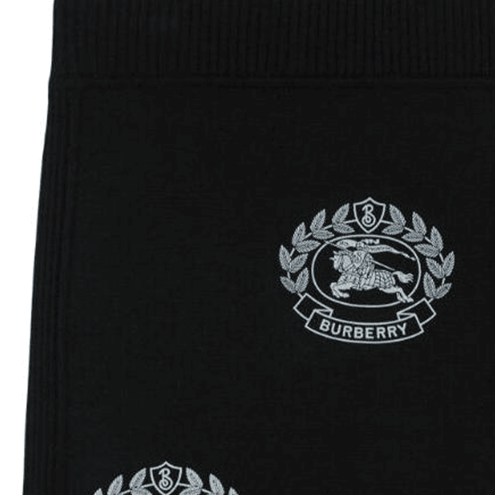 Burberry SS23 Logo - изображение 3