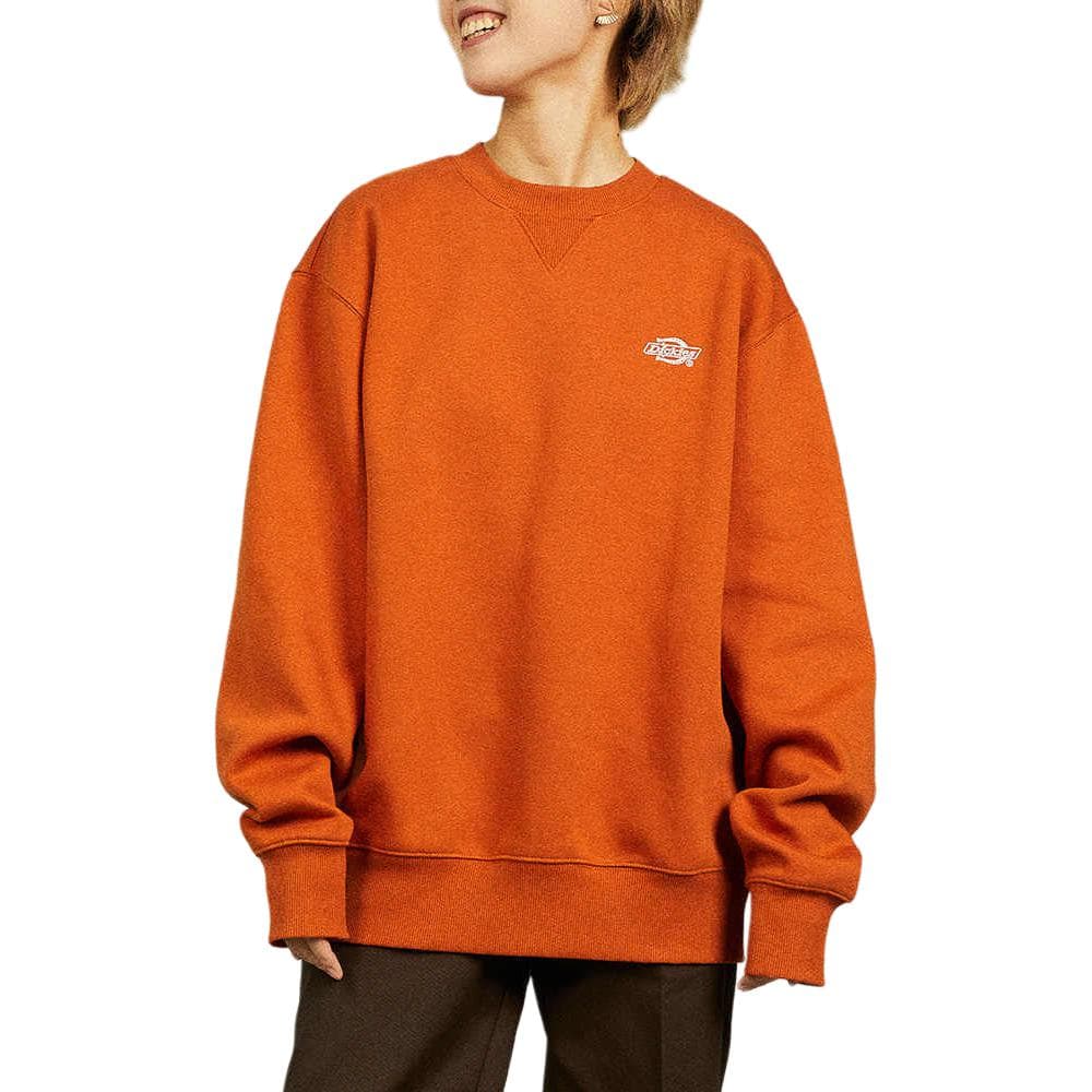 Худи Dickies Logo - изображение 3
