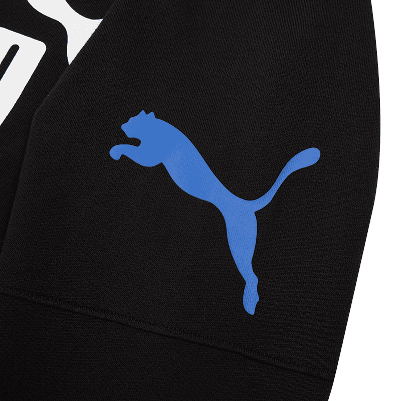 Худи PUMA Power Colorblock Hoodie Tr Logo - изображение 3