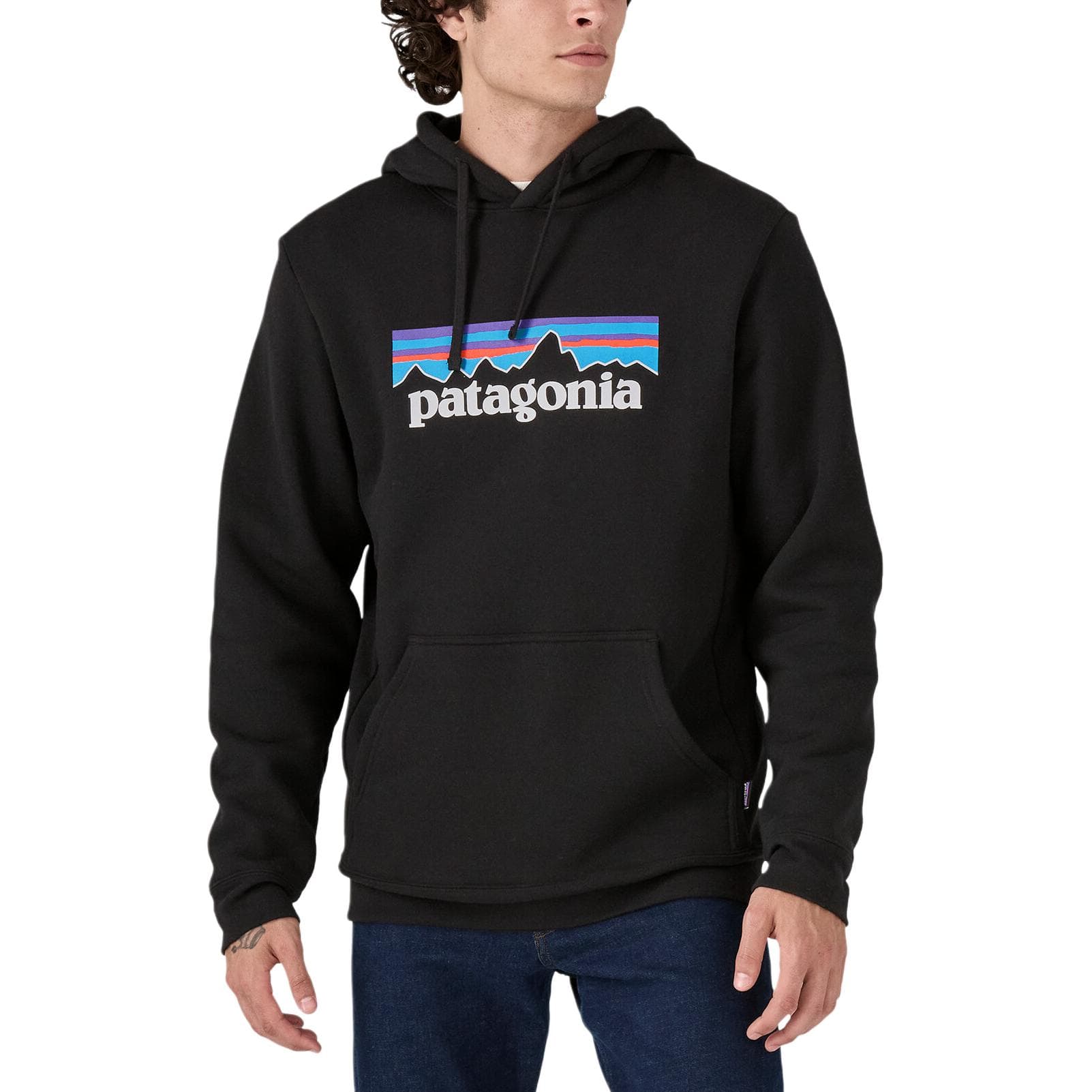 Худи Patagonia Logo Hoodie - изображение 2