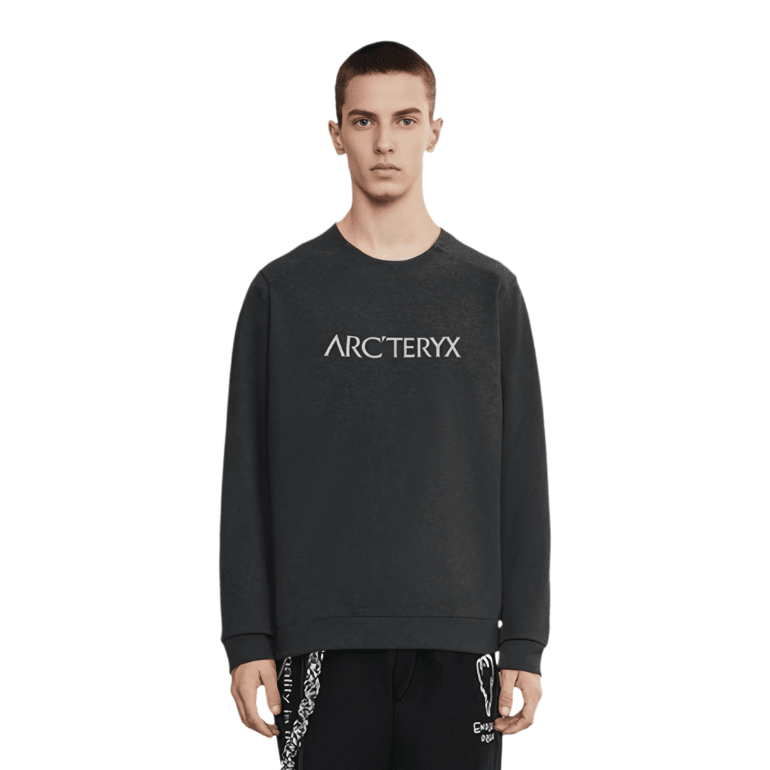 Худи Arcteryx Mentum Centre - изображение 2