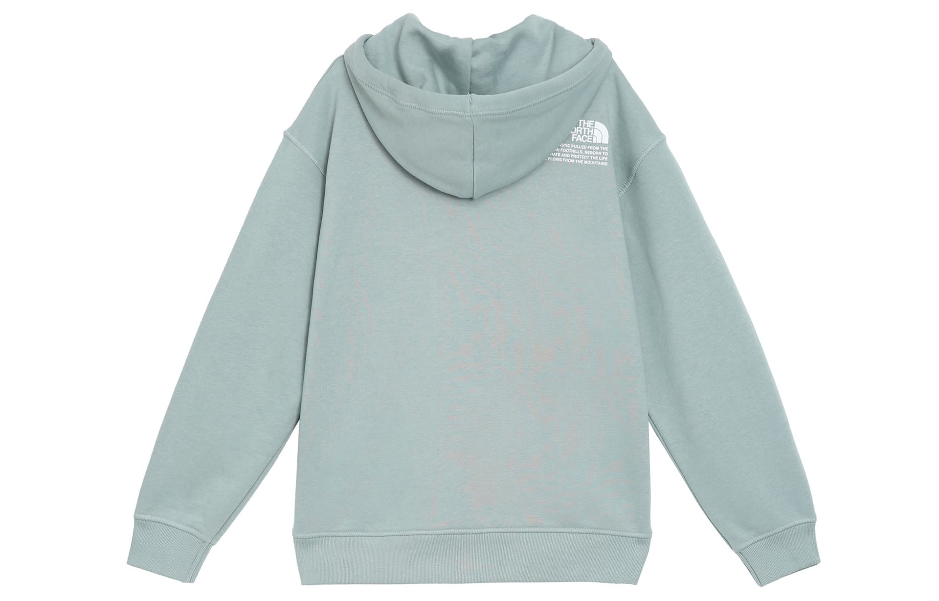 Худи THE NORTH FACE Logo - изображение 2