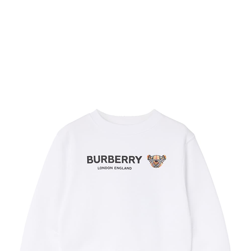 Burberry FW21 Logo - изображение 4