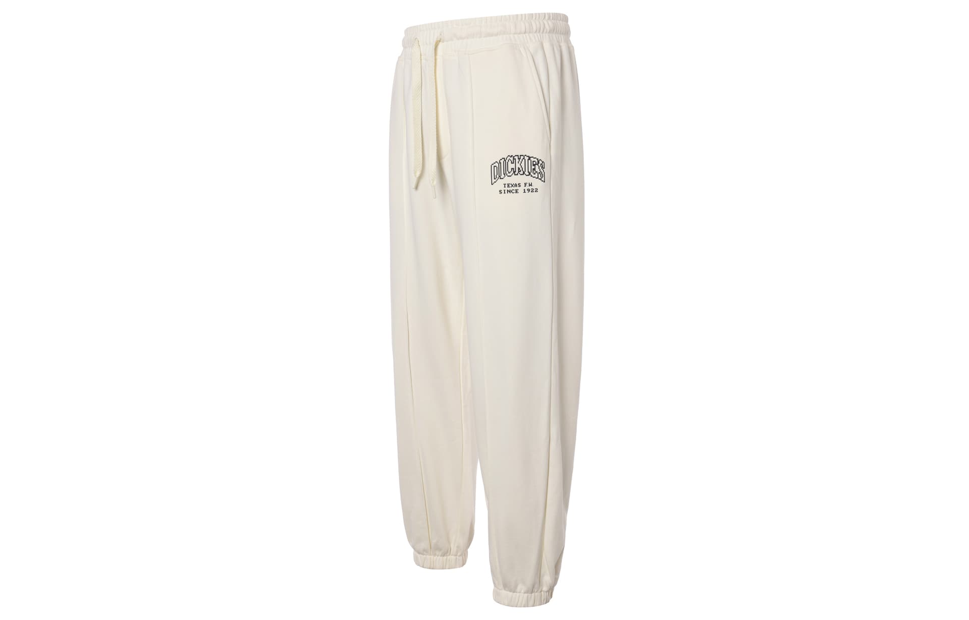 Штаны Dickies Logo - изображение 2