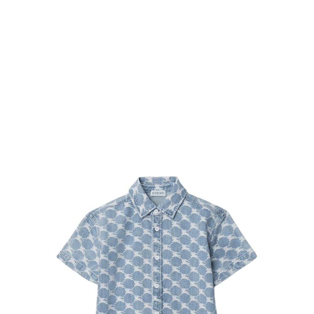 Burberry - изображение 4