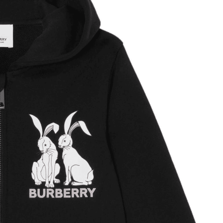 Burberry SS23 Logo - изображение 3