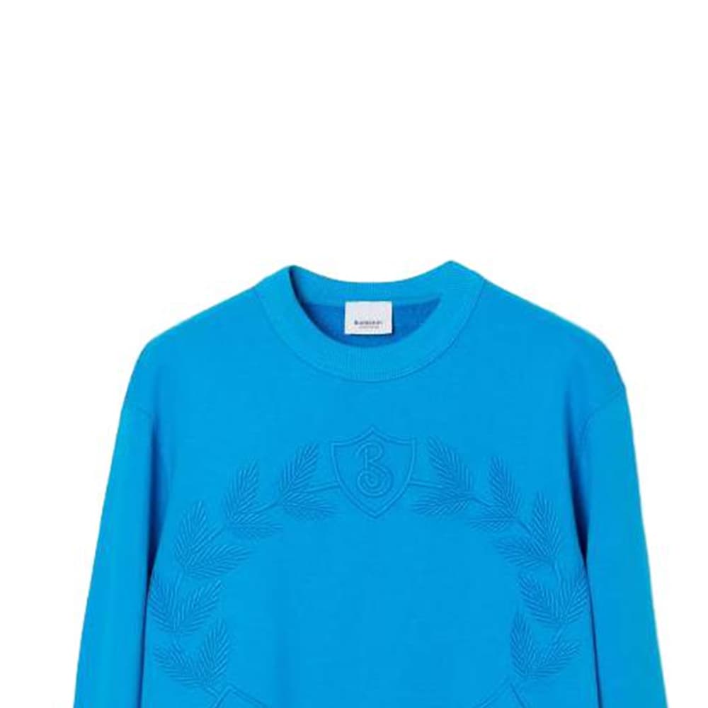 Худи Burberry SS23 Logo - изображение 7