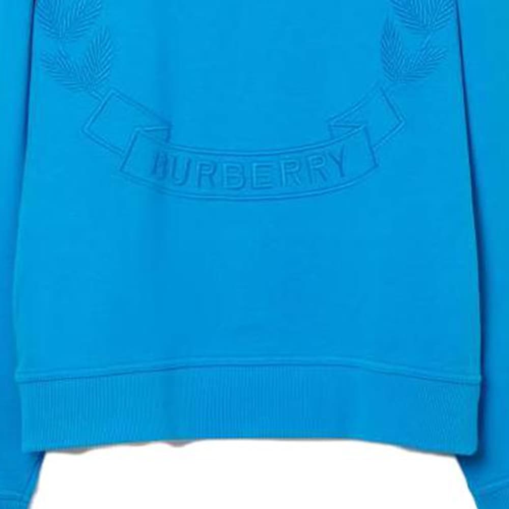 Худи Burberry SS23 Logo - изображение 5