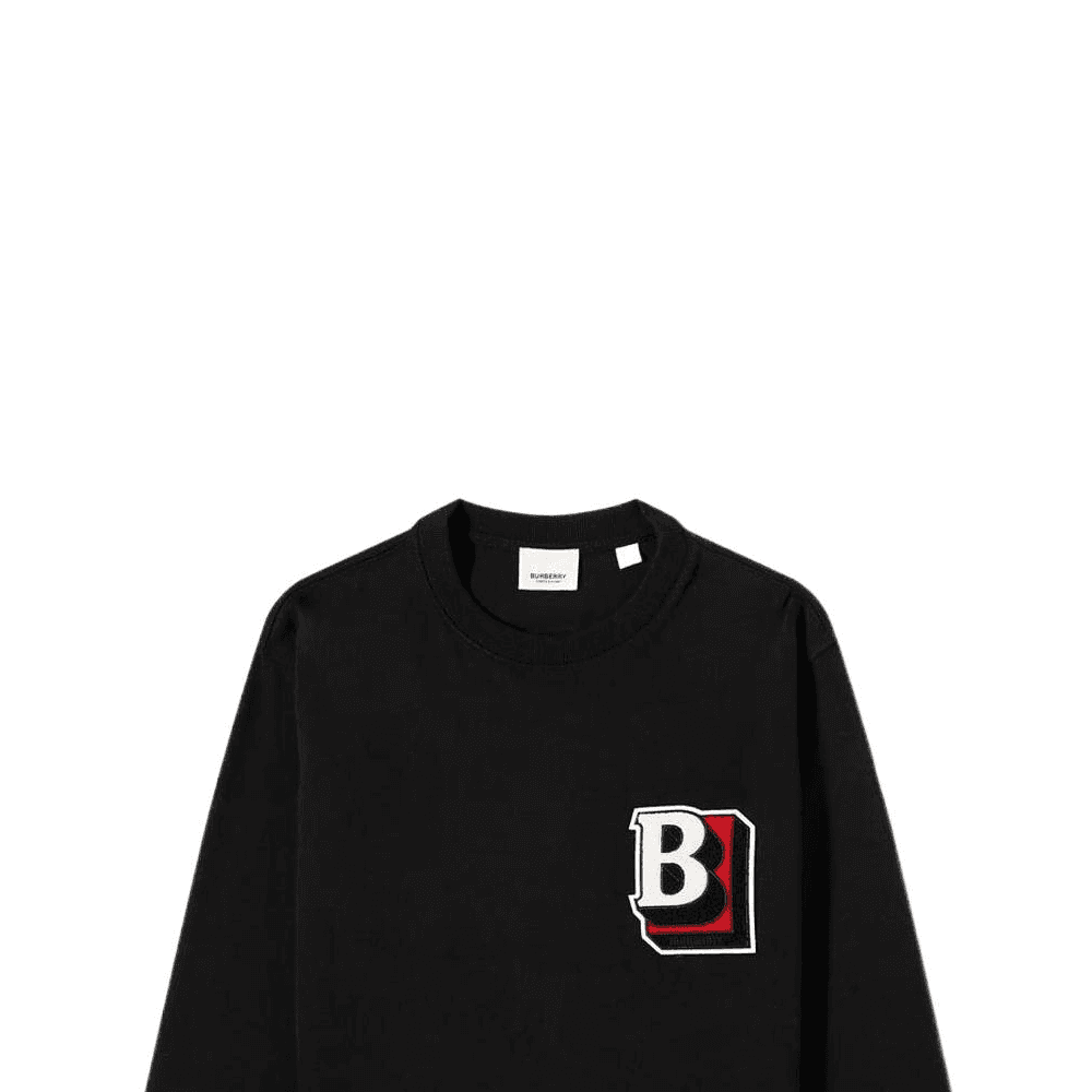Худи Burberry SS22 - изображение 3