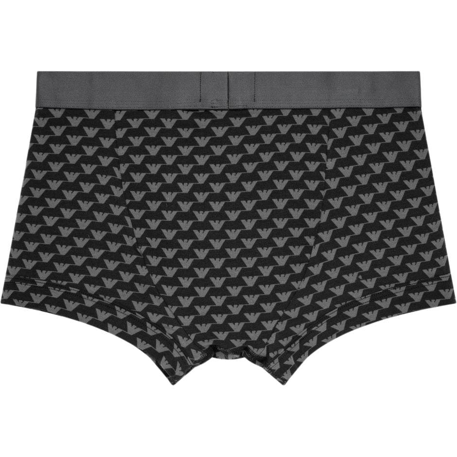 Трусы EMPORIO ARMANI FW24 Logo 2 - изображение 2