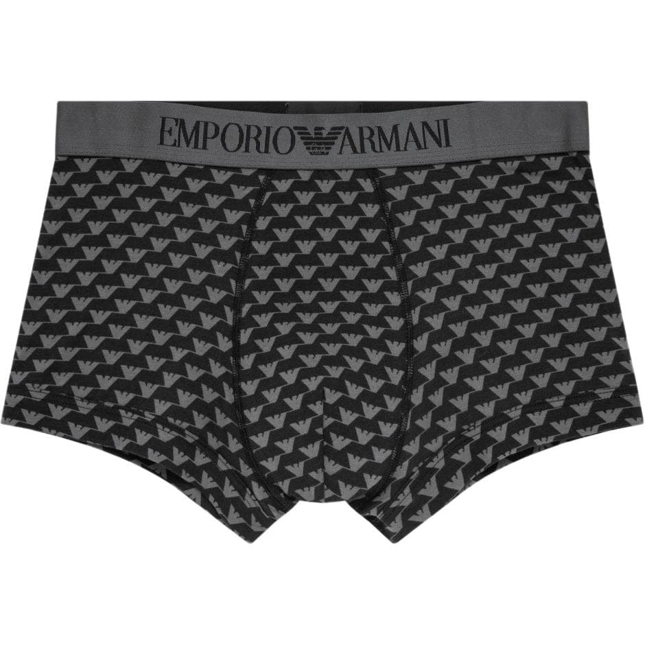 Трусы EMPORIO ARMANI FW24 Logo 2 - изображение 1