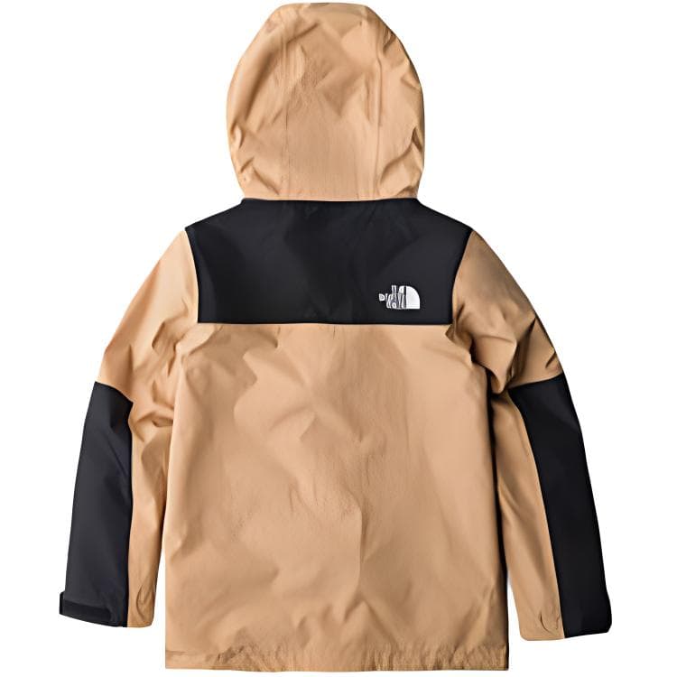 THE NORTH FACE Logo - изображение 2