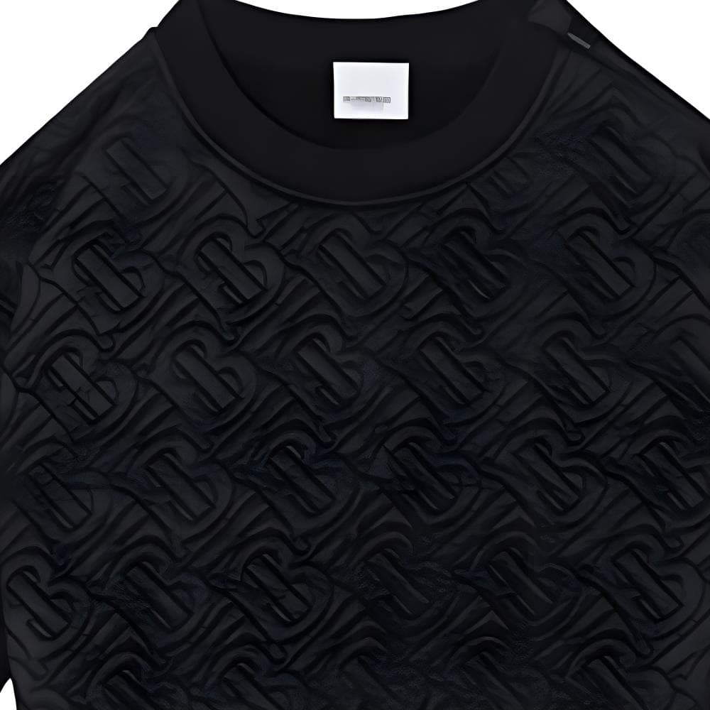 Burberry Logo - изображение 4