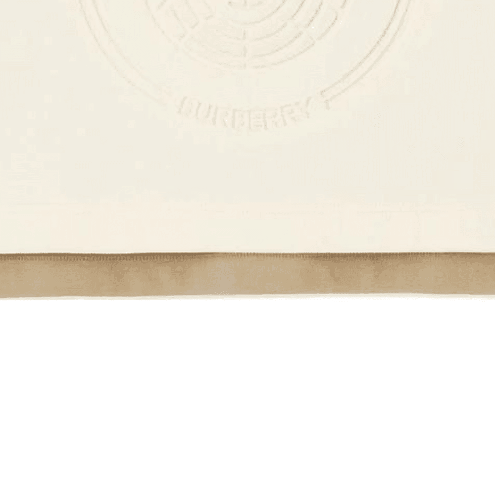 Burberry FW22 Logo - изображение 5