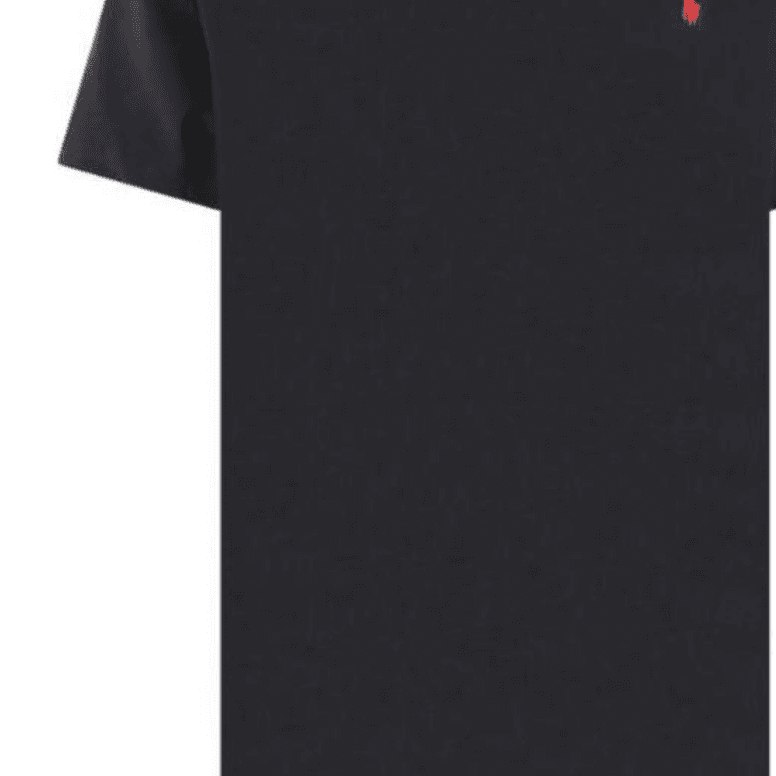 Футболка Polo Ralph Lauren FW22 LogoT - изображение 5