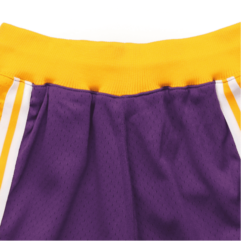 Баскетбольные шорты Mitchell & Ness Lakers 96-97 Purple - изображение 3
